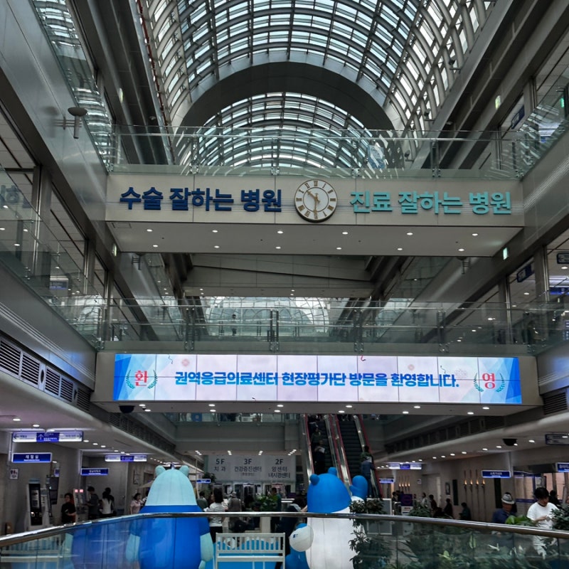 일산 니프티 저렴한 곳 | 일산병원 NIPT검사/비용/과정 /결과