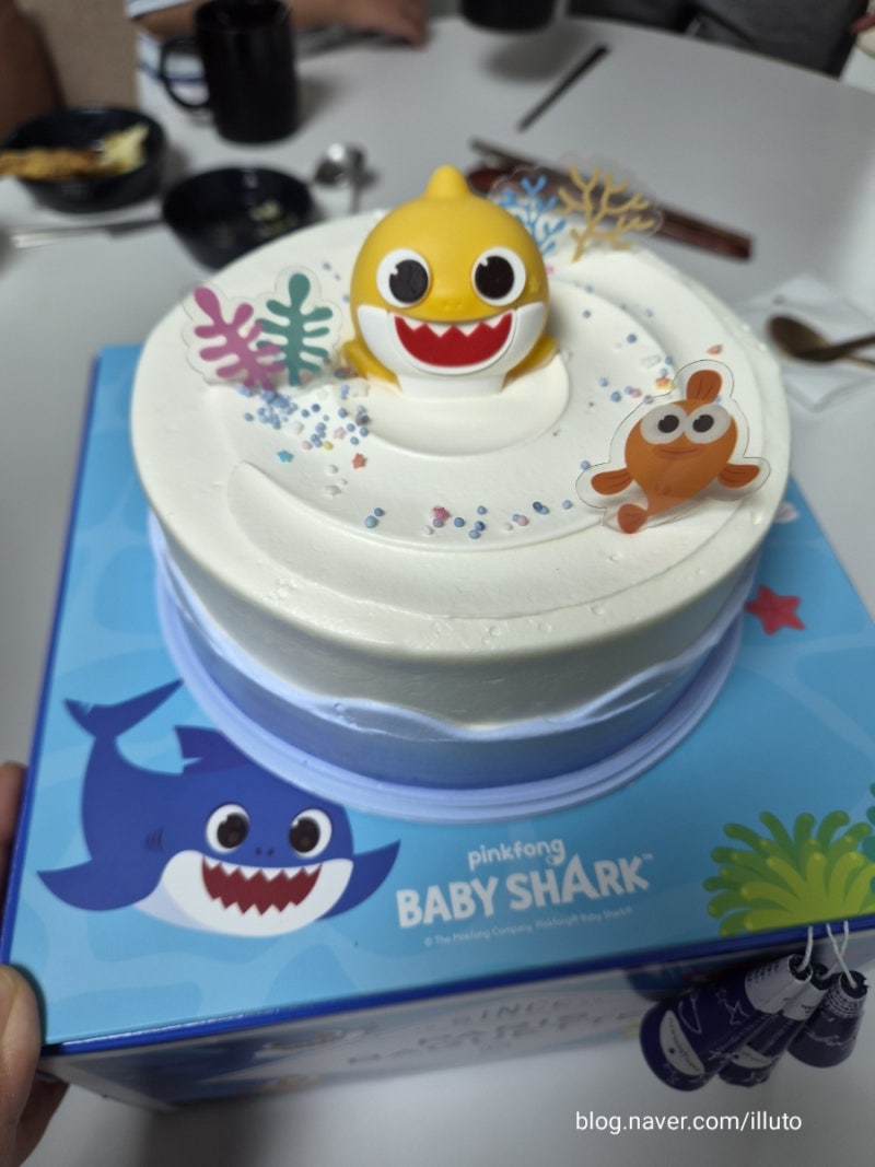 6살 아이 생일 파티 케이크 추천 파리바게트 아기상어 케이크 솔직 리뷰