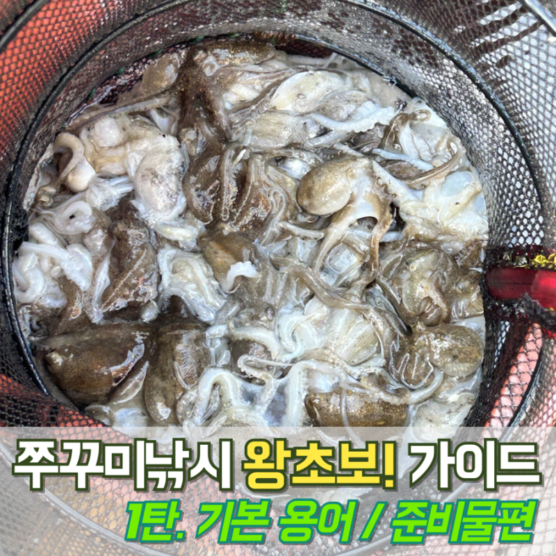 9월 금어기해제! 이번 시즌은 나도 만선! 쭈꾸미낚시 왕초보 용어 공부부터 가성비 장비 체크....