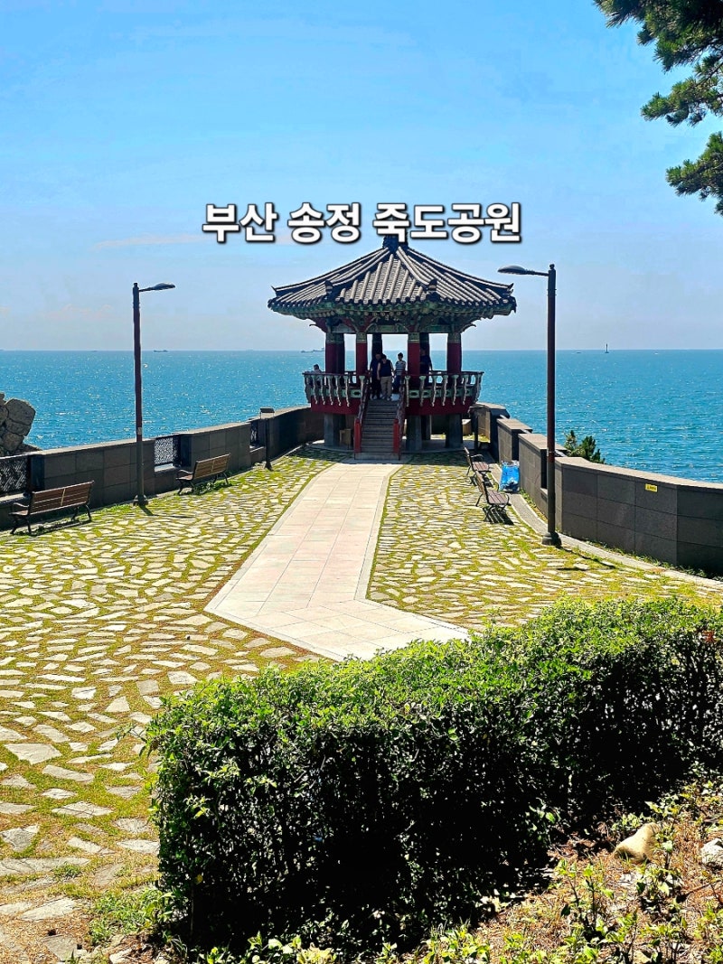 부산 송정해수욕장 죽도산공원 해안산책로 해운대 가볼만한곳