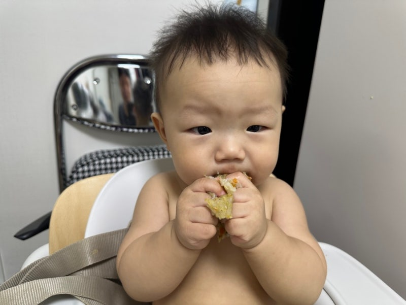 10개월 아기 이유식, 분유량 몸무게 및 깨시 낮잠 공유