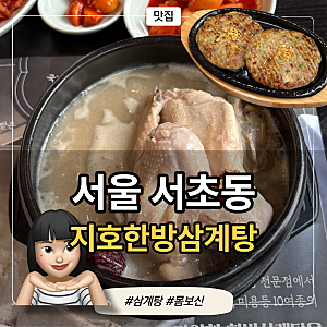 서초 양재역 한방삼계탕 맛집, 지호한방삼계탕 양재역점 후기