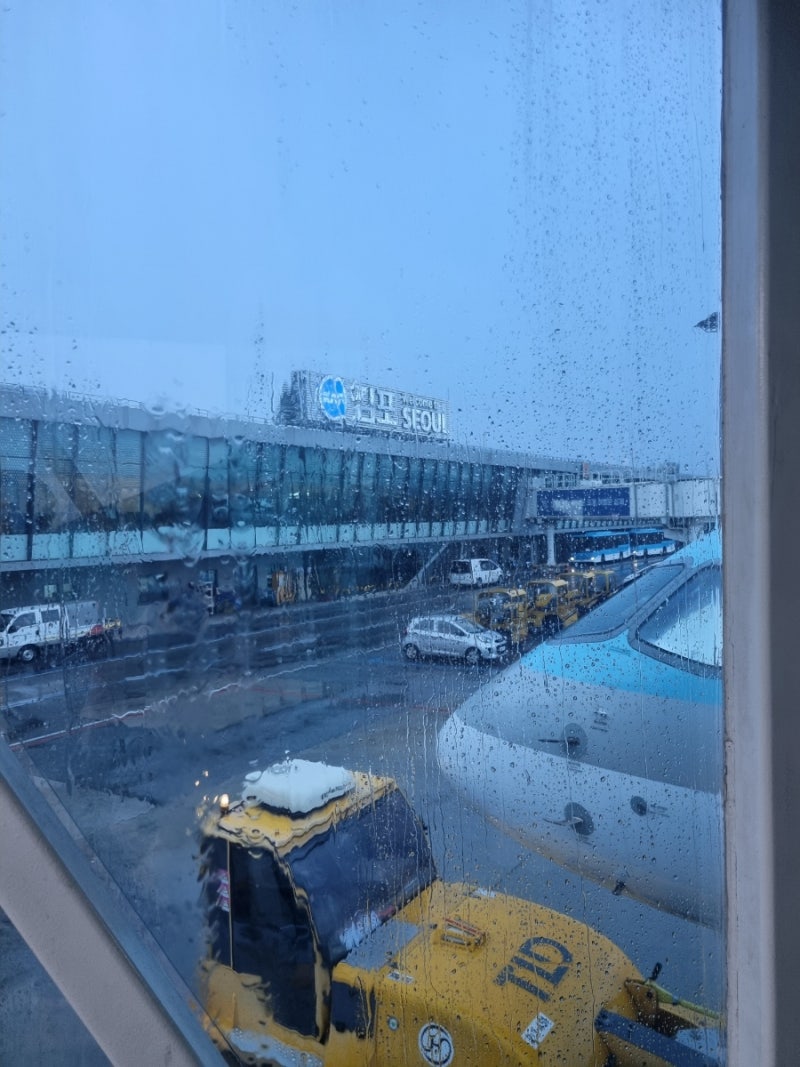 대한항공 KE1019편 에어버스A220-300 탑승후기