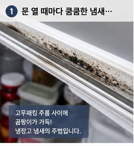 냉장고 열 때마다 냄새가... 고무패킹 곰팡이 없애는 법