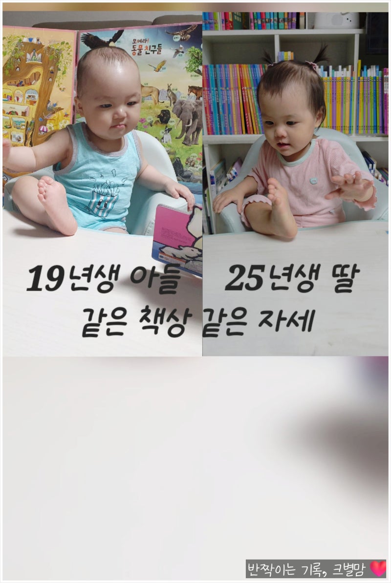 아기 책상 의자세트 일룸 땅콩 800 7년 사용 후기 및 장단점