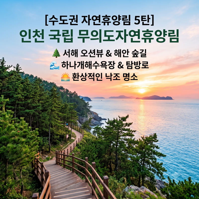 [수도권 자연휴양림 5탄] 인천 국립 무의도자연휴양림 완벽 가이드! 서해 오션뷰 & 해안 숲길 ....