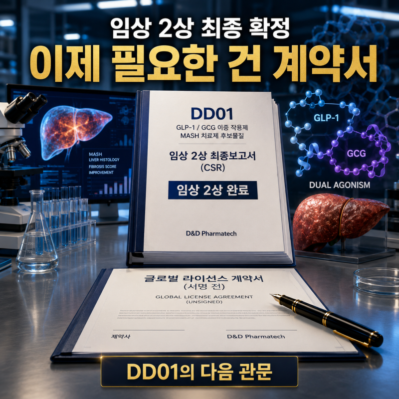 디앤디파마텍 DD01 임상 2상 완료 분석, MASH 치료제 기술수출이 다음 핵심인 이유