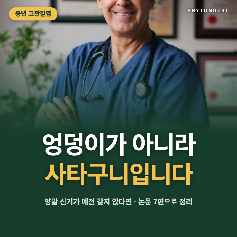중년 고관절염 증상, 관절 콜라겐이 관절 건강 유지에 도움을 줄 수 있을까?