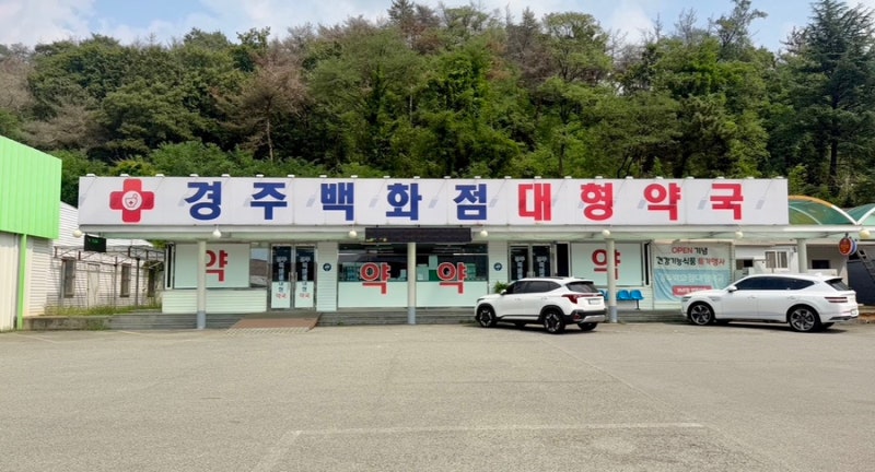연중무휴 공휴일 주말에도 문 여는 경주백화점대형약국 후기
