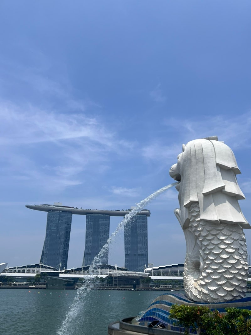 승무원 싱가포르에서 35시간 레이오버 / 차이나타운 현지인 추천 찐 맛집 그리고 Merlion Park