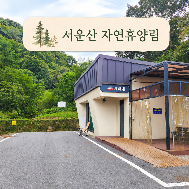 안성 서운산자연휴양림 미리내 4인실 후기｜계곡과 개별 바비큐장이 있는 숲속의 집