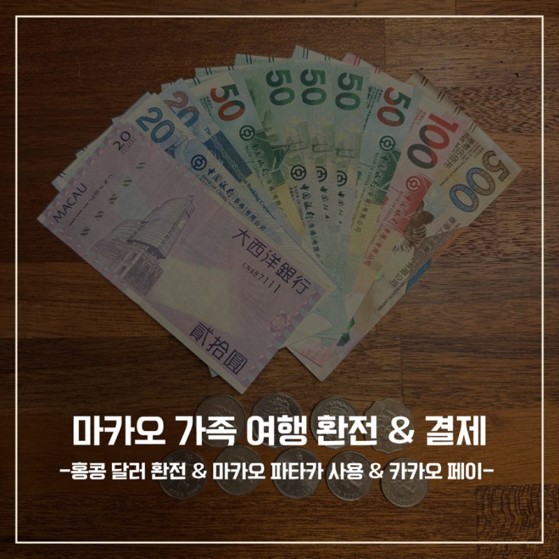 마카오 환전·카카오페이 사용 후기｜홍콩달러 얼마나 필요할까