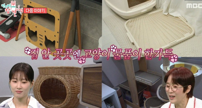 최홍만 전참시, 217cm 거인의 치과 방문기! 헬로키티 덕후의 반전 일상