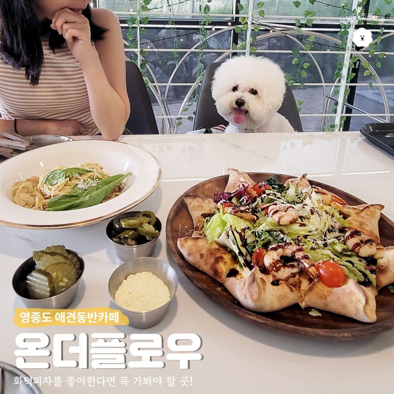 영종도 애견동반 카페 온더플로우 화덕피자가 맛있는 대형카페