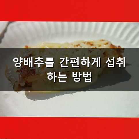 양배추환 효능 꾸준히 챙겨 먹는 이유