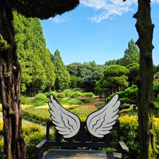 (전북 익산)10개월 아이와 함께 당일치기 익산여행 전북 가볼만한 곳 메타세콰이어 그늘 산책....