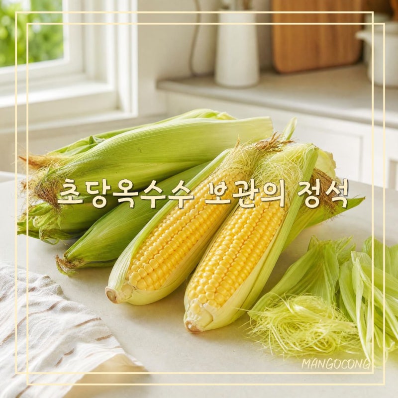 초당옥수수 보관법 냉장 냉동 보관기간, 달콤한데 칼로리는 낮을까?