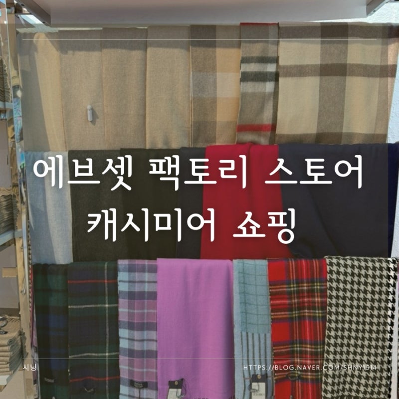몽골 캐시미어 쇼핑 아울렛 가격 Evseg 에브셋 팩토리 스토어 캐시미어 니트 가디건 목도리