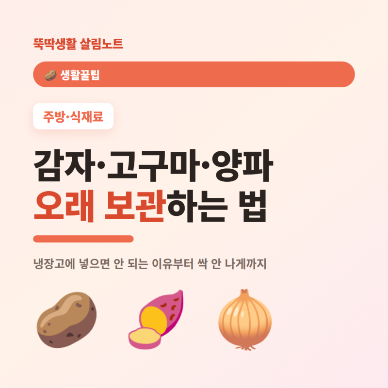 감자·고구마·양파 오래 보관하는 법 총정리 (냉장고에 넣으면 안 되는 이유부터 싹 안 나게....