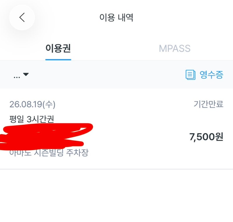 [동묘 나들이] 완구거리부터 구제시장, 복이네 떡볶이까지! 주차 꿀팁 공유