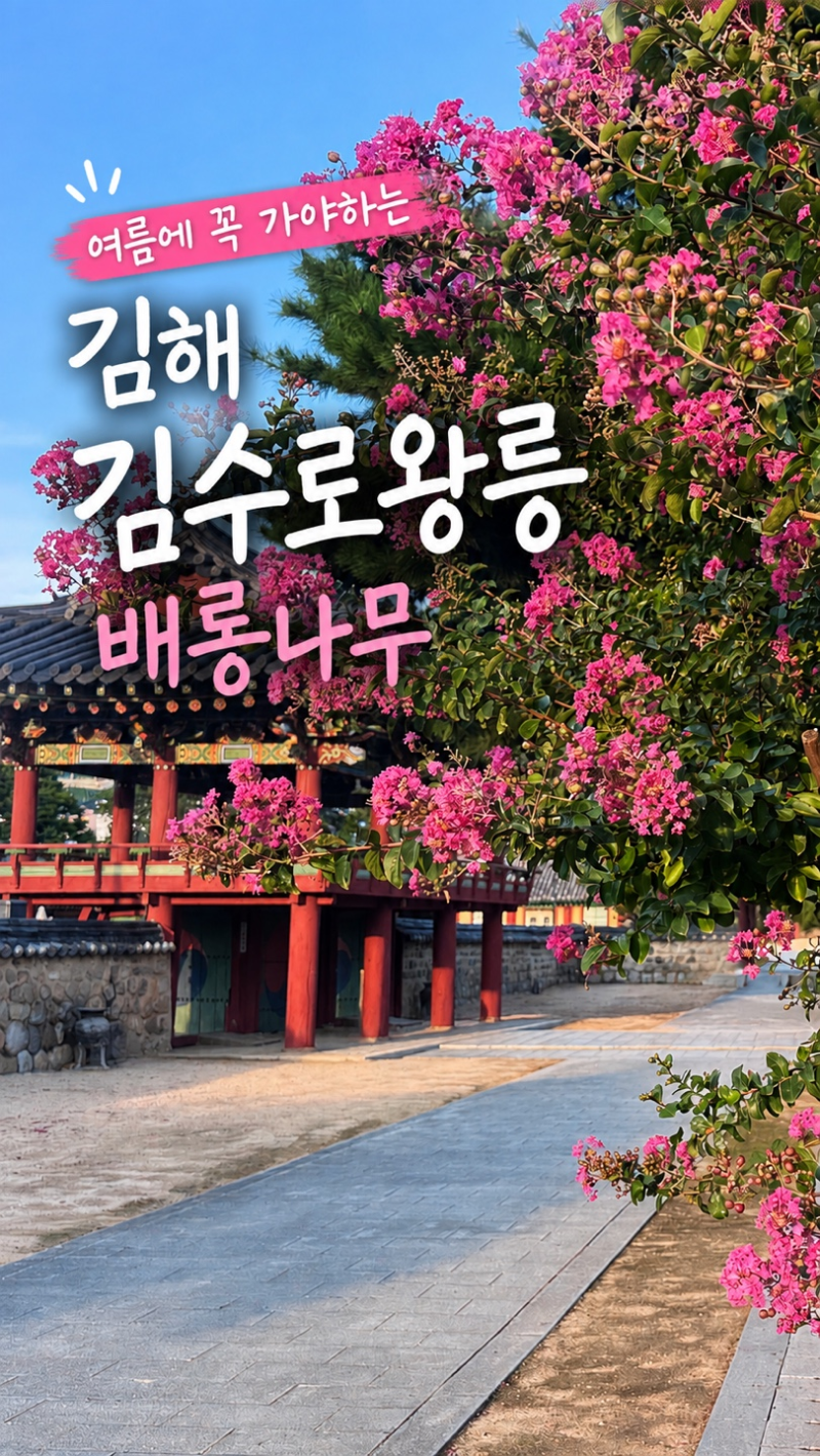 김해 여행 가볼만 한 곳 김수로왕릉 배롱나무 포토존