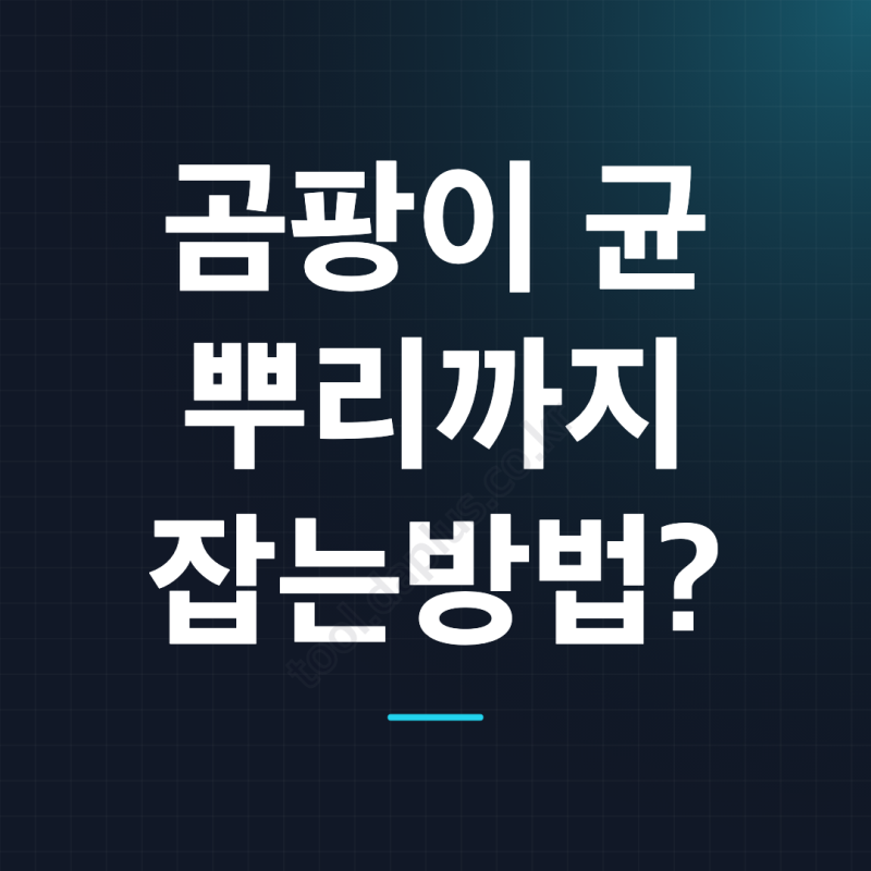 벽지 손상 없이 곰팡이 균까지 제거하는 에탄올 활용법
