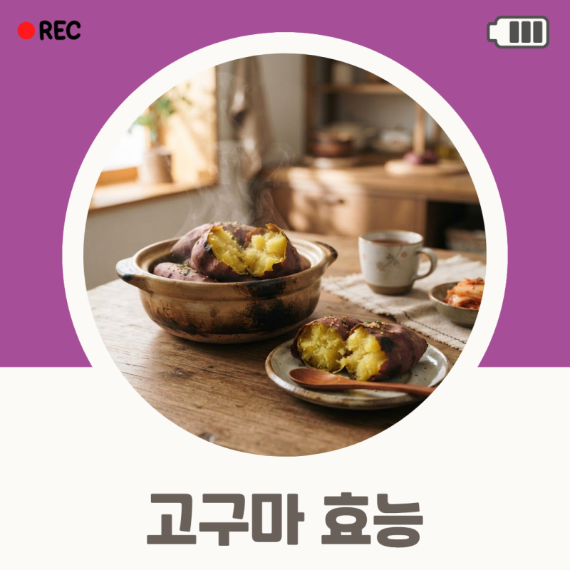 고구마 효능 군고구마 찐고구마 차이와 칼로리 알아보기