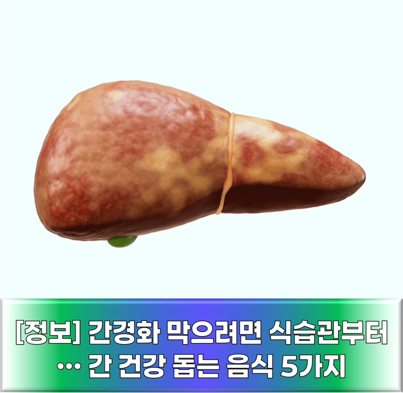 간경화 막으려면 식습관부터… 간 건강 돕는 음식 5가지