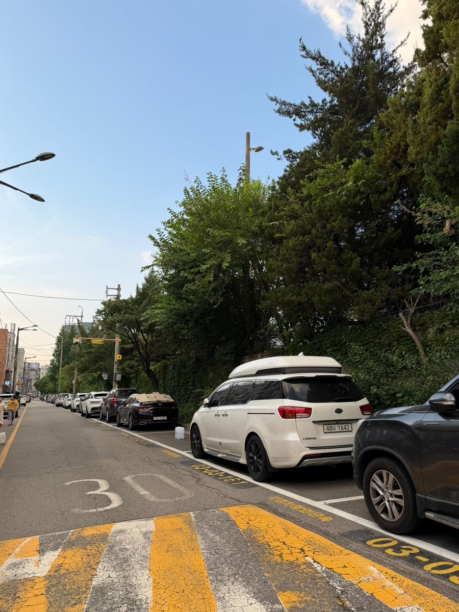 범주 사진 3