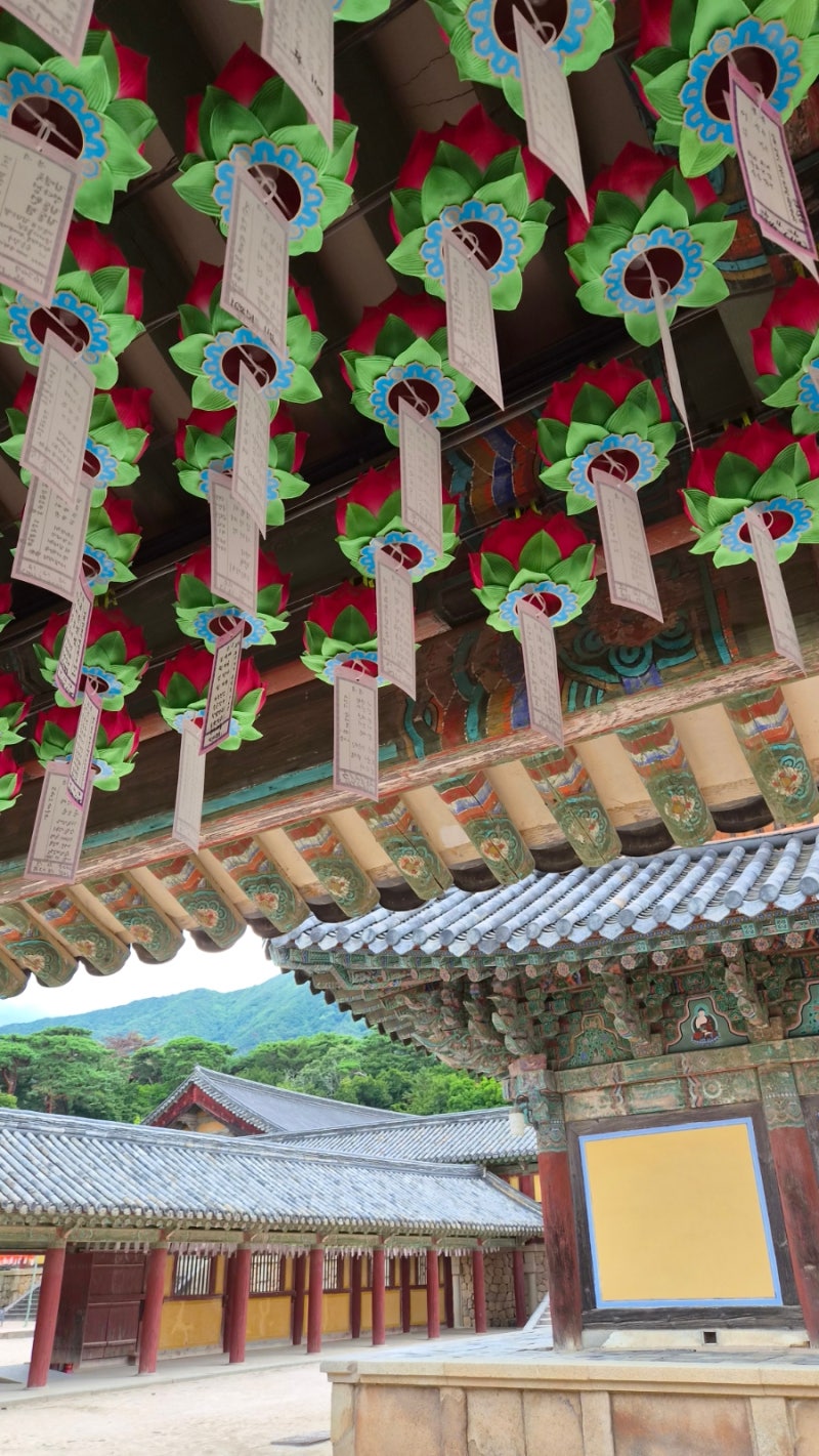 경주 필수여행코스 가볼만한곳 불국사 주차