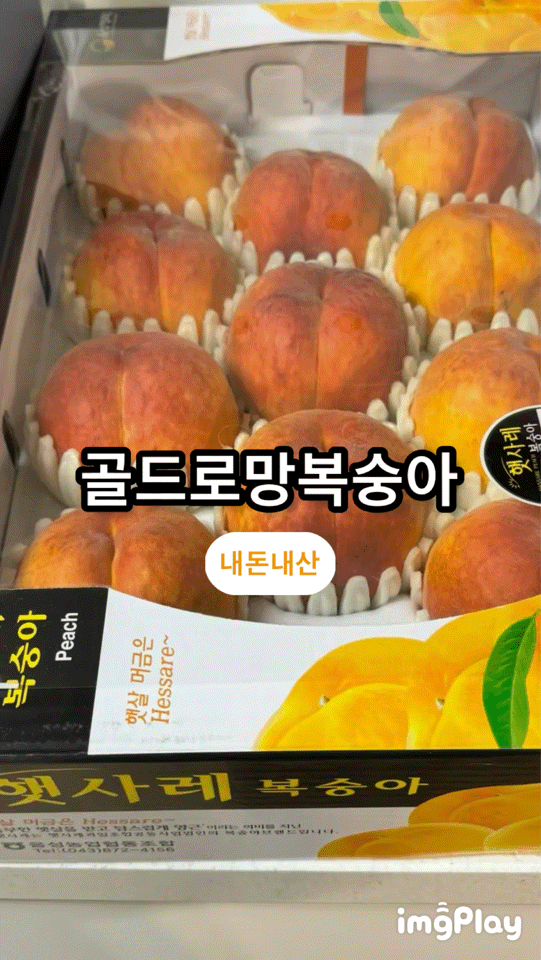 [제철]복숭아황도 딱딱이 골드로망 그릭모모 그릭요거트 복숭아 자르는 방법 간식 디저트 복....