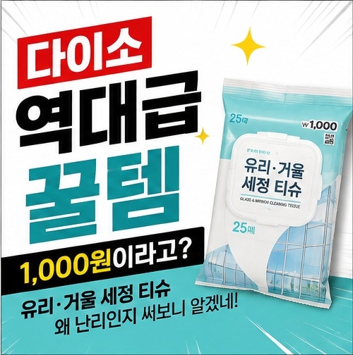 다이소 역대급 꿀템 1,000원이라고?유리·거울 세정 티슈 왜 난리인지 써보니 알겠네