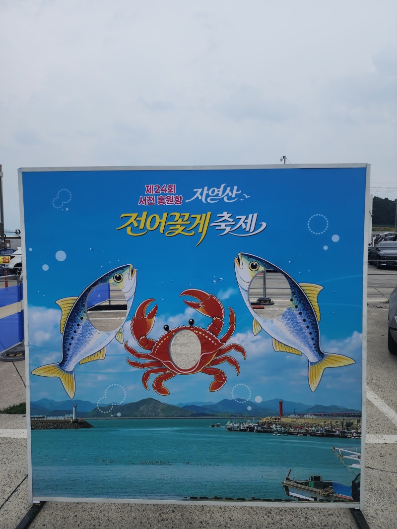 꽃게 1kg 가격이 이 정도? 직접 가본 2026 홍원항 전어꽃게축제