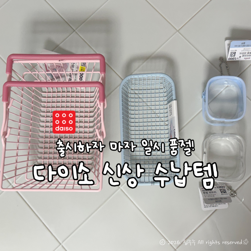 “이건 소품샵 느낌인데?” 다이소 신상 수납템, 벌써 일시품절?
