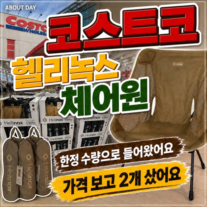 코스트코 헬리녹스 체어원 가격 확인하고 그냥 못지나쳤어요 결국 2개 구매 완료