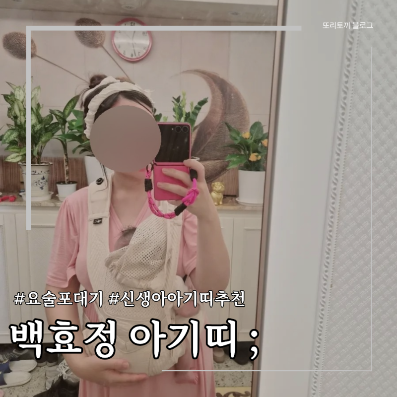 백효정 아기띠 ; 요술포대기 신형 버클/ 신생아 아기띠 추천/착용 방법/사용 후기