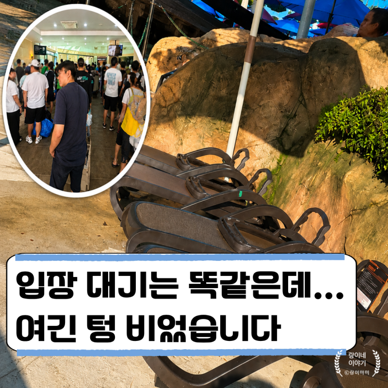 성수기 주말 vs 평일 오션월드, 실제로 다녀보니 이게 다르더라고요