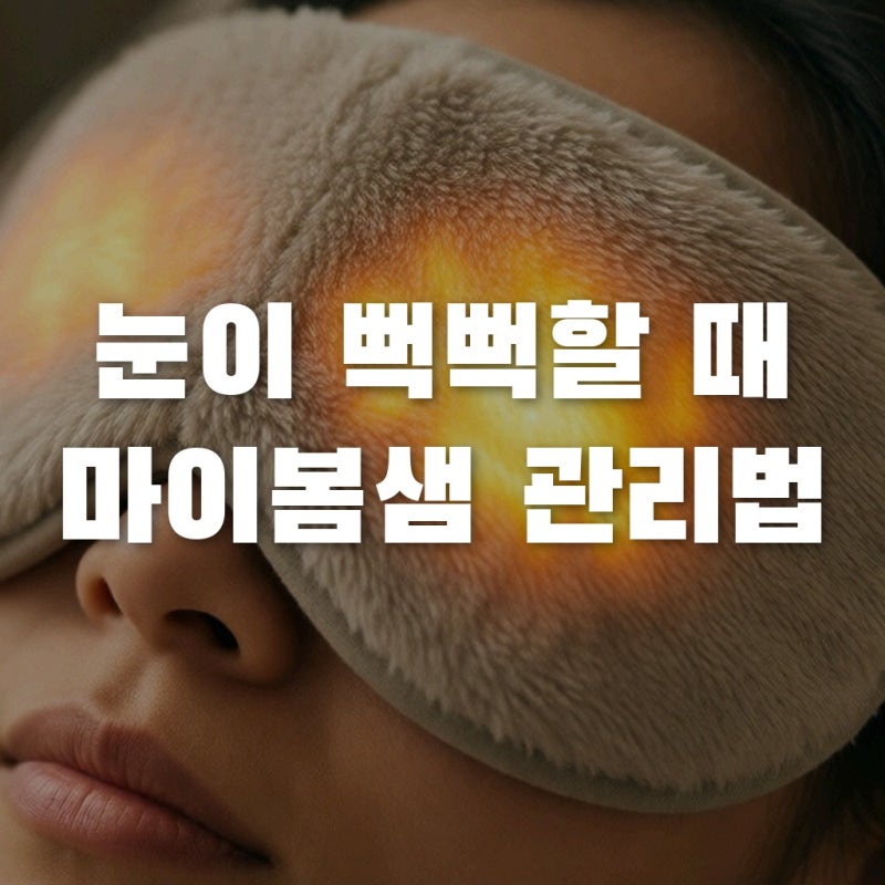 안구건조증 관리, 온열안대 사용법과 마이봄샘 찜질 황금 루틴