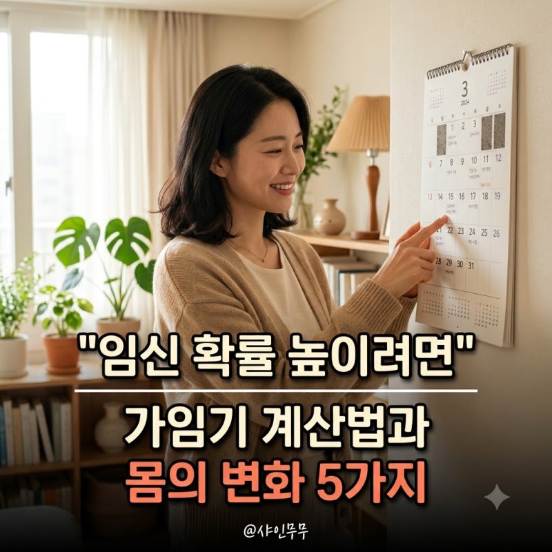 "임신 확률 높이려면" 전문가가 분석한 가임기 계산법과 몸의 변화 5가지