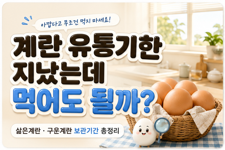 계란 유통기한 지났는데 먹어도 될까? 삶은계란 구운계란 보관기간 총정리