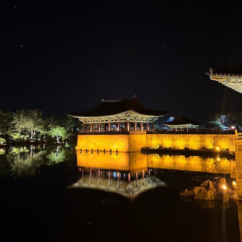 Recommended Gyeongju Travel Courses: From Walking Bus Tours to KTX Packages