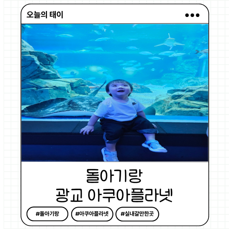 광교 아쿠아플라넷 주차/유모차대여/공연시간/돌아기 관람후기