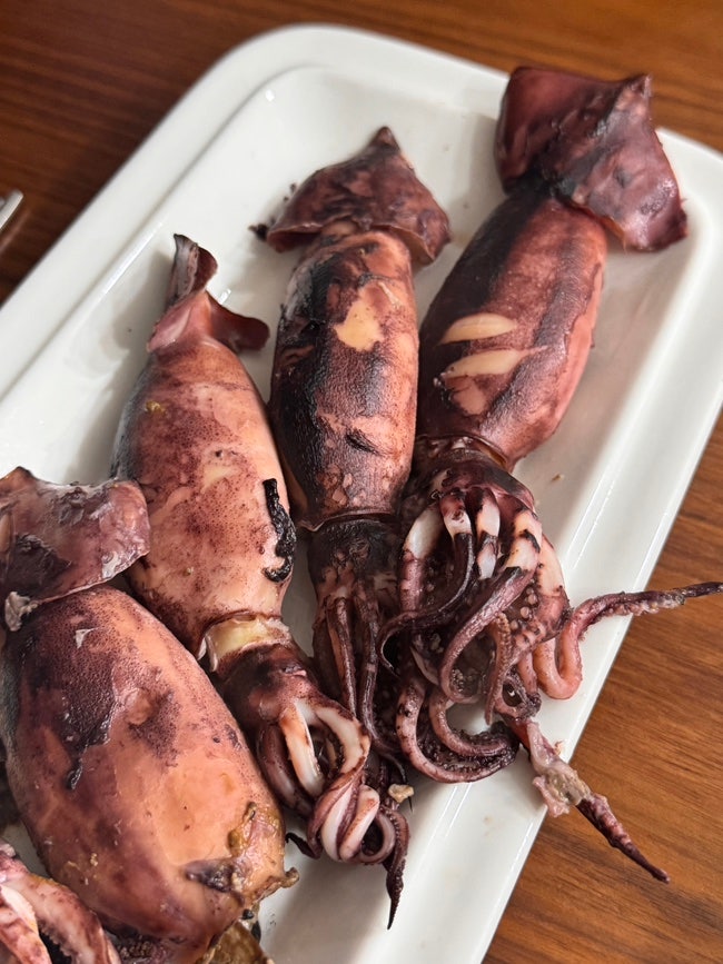 통수산 총알오징어 택배 │오징어 통찜 후기 내돈내산