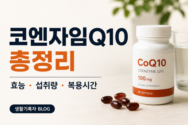 코엔자임Q10이란? 효능부터 하루 섭취량·복용시간까지 총정리