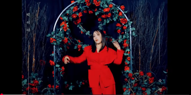 가수 숙행 프로필 총정리｜나이·생일·키·학력·유명해진 이유·상간소송 이슈