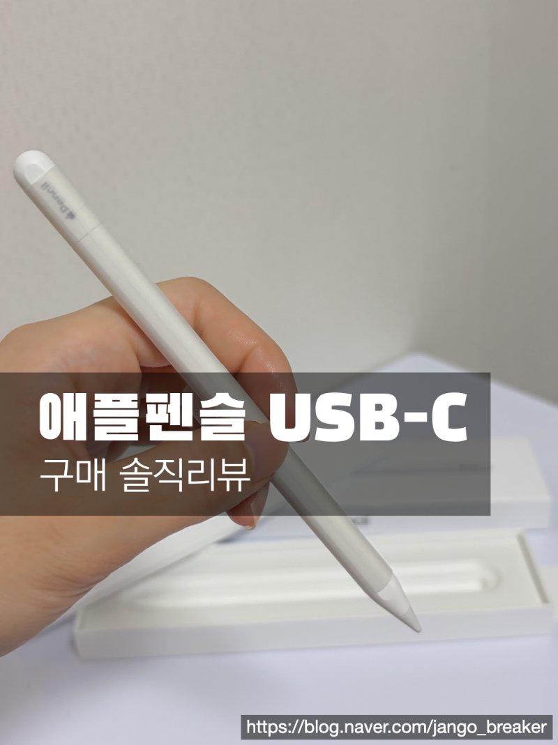 [아이패드 미니7세대 애플펜슬 usb-c 후기] 애플펜슬 USB-C vs 프로 비교 및 연결 방법 총정리