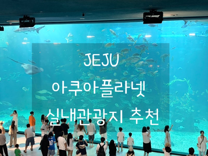 [제주] 아쿠아플라넷｜아기랑 갈만한곳 찾는다면 여기! 오션아레나까지 알찬 제주 실내데이....