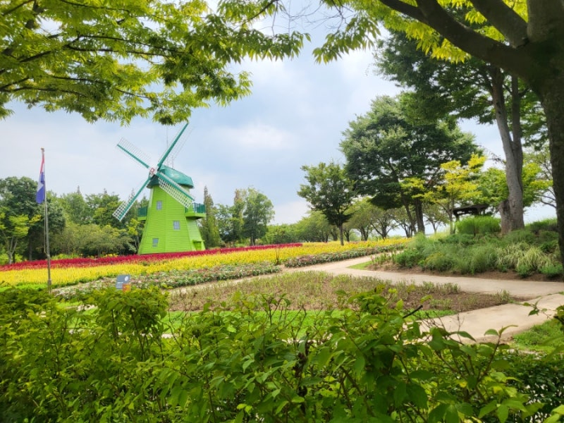 순천만 국가정원 입장료, 주차, 여름철 방문 꿀팁 총정리