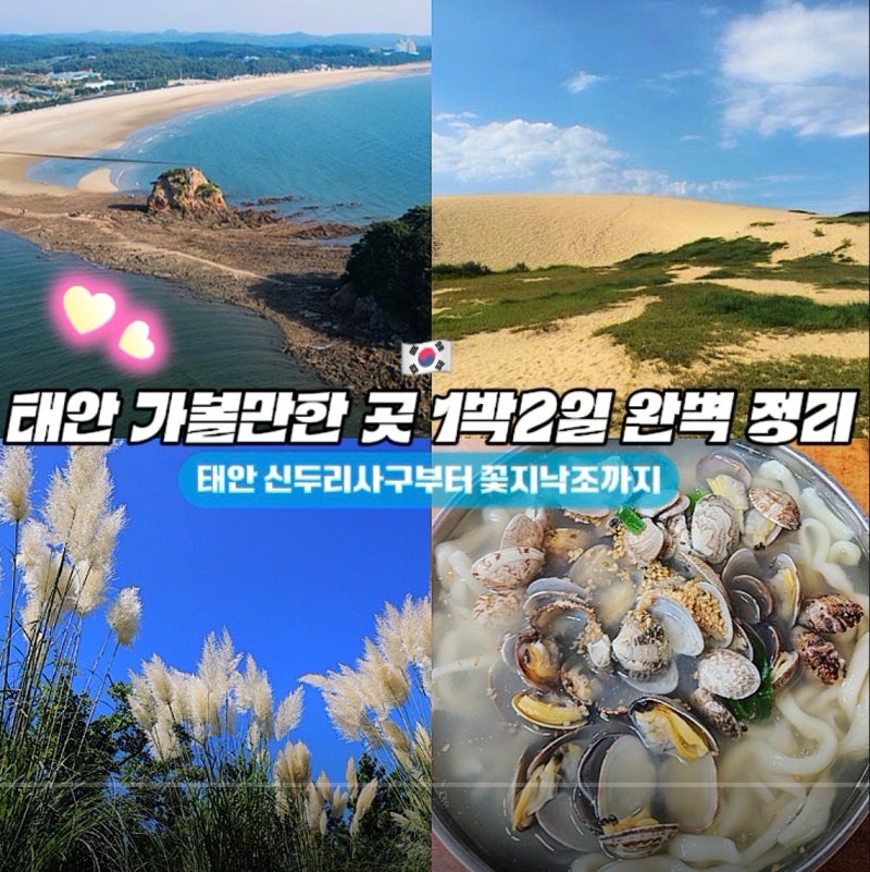 태안 가볼만한 곳 1박2일 코스 완벽 정리 |신두리사구부터 꽃지낙조, 근처 맛집까지 총정리