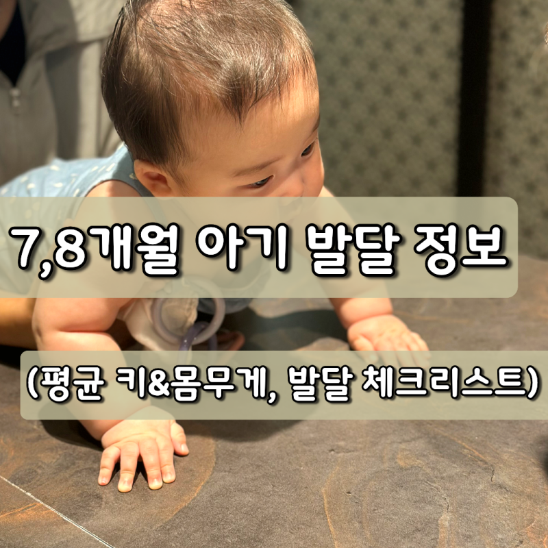 생후 7,8개월 발달 관련 정보 (키, 몸무게, 특징, 체크리스트)